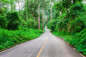 Fototapeta premium Country road between district to the city with motion blur, Journey way of traveler to the nature, Road in the mountain and the forest for travel to someplace, Asphalt road in the forest and no car.