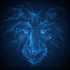 Abstract vector image of lion. Lion's head Low poly wire frame illustration. Lines and dots. RGB Color mode. Wild animals concept. Polygonal art. © AntonKhrupinArt