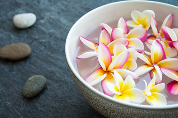 Plumeria flower floating in ceramic bowl and zen stones in tropical luxury asian spa