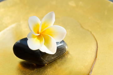 A small but beautiful touch of zen. Pebbles and petals. tropical luxury asian spa in morninng sunlight.