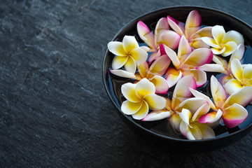 Plumeria flower floating in ceramic bowl on stone table in tropical luxury asian spa
