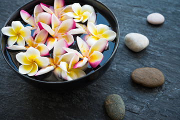 Fototapeta na wymiar Plumeria flower floating in ceramic bowl and zen stones in tropical luxury asian spa