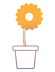 beautiful flower in a pot over white background, vector illustration