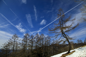 雲取山 七ツ石山 19
