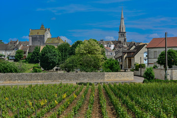Fototapeta na wymiar france burgundy wine region vineyards