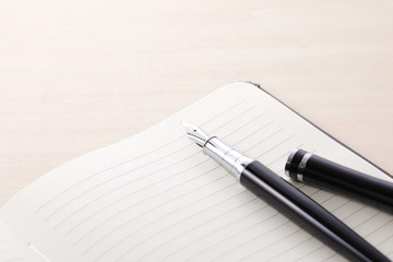 ペン　万年筆　Fountain pen