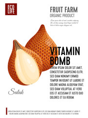 Fototapeta premium Packaging label. Concept design with inscription. Salak fruit. Vector flat poster template with text.