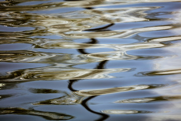 The smooth water as an abstract background