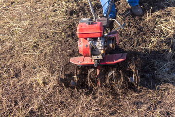 Worker with a machine cultivator digs the soil in the garden