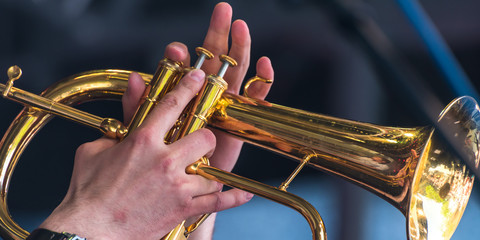 Jazz Trompete Finger Ausschnitt
