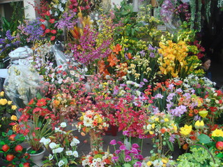 Obraz premium Blumenpracht