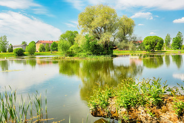 Pond in the village Kabile, Latvia