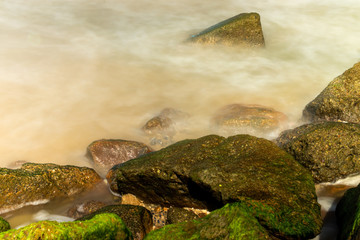 Green algae on rocks