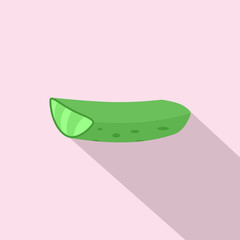 Piece of aloe vera icon. Flat illustration of piece of aloe vera vector icon for web design