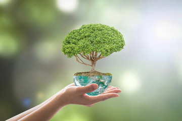 Planting tree in green globe planet on volunteer's hands for world environment day, eco friendly...