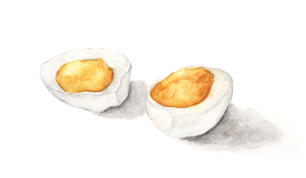 Hard boiled egg isolated on white background. Hand drawn watercolor illustration.