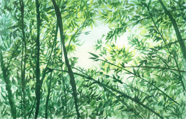 Hand drawn watercolor illustration of branches, leaves, bamboo and sky
