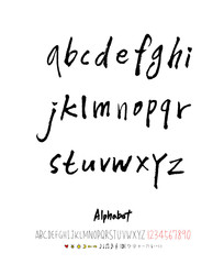 벡터 문자 / 손으로 쓴 글씨체