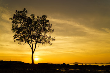 Klong Muang beach on sunset Krabi province Thailand