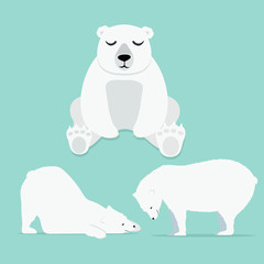 Cute Polar bear Vector set