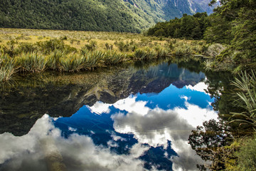 Mirror Lake New Zealand Milford Road