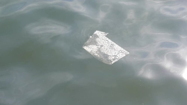 Plastic bag floating on sea surface.