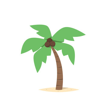 palm tree vector isolated