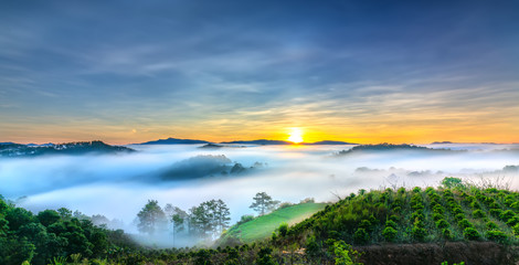 Sunrise over hillside as the sun rising from horizon reflect light bright yellow sky. Below cloudy mist covered valleys flooded pine forests create impressive beauty highlands in morning.