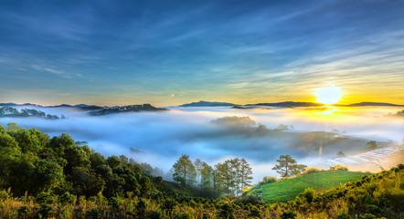 Sunrise over hillside as the sun rising from horizon reflect light bright yellow sky. Below cloudy mist covered valleys flooded pine forests create impressive beauty highlands in morning.