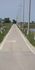 asphalt road in the plain with the light poles on the side