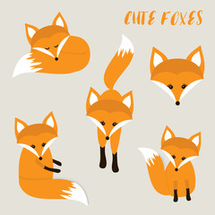 Fototapeta premium Set of cute cartoon foxes