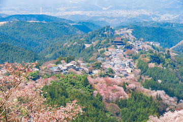 Fototapeta na wymiar 奈良の春の風景　満開の桜　吉野　奈良　日本