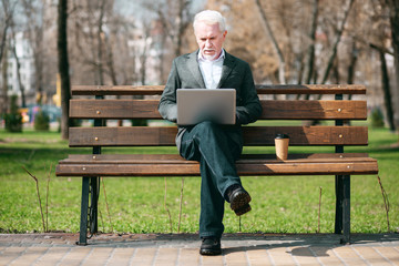 Business correspondence. Focused mature businessman using laptop while sitting in park