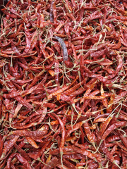 dried chili as a food background.