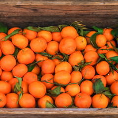 Citrus. Fresh oranges in a box on display at a farmers market or store. Harvest concept. Top view