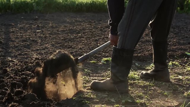 The village peasant digs the earth with a shovel. close-up