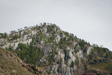 Beautiful rocky green mountain with greenery. Natural textured background with rock and sky.