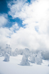 Fototapeta na wymiar soft rime as known as snow monster at Mt. Moriyoshi Ani Akita Japan
