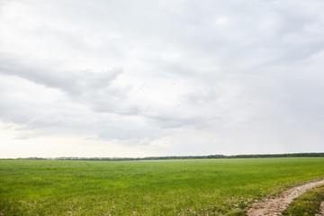 Green field with white cloud