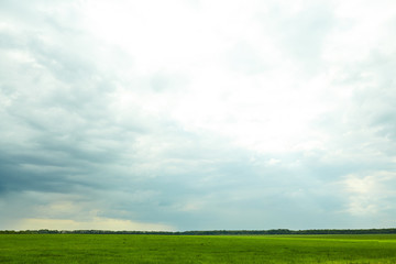 Green field with white cloud