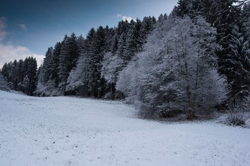 Winterwelt