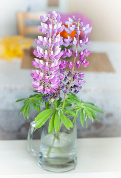 English lavender Flower Plant Lupinus mutabilis - lilac flower