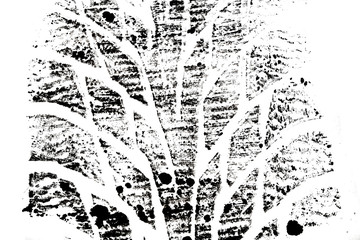 imprint of tires isolated on white background