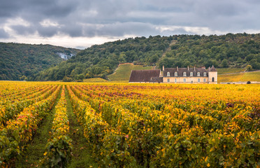 Fototapeta na wymiar Chateau with vineyards in the autumn season, Burgundy, France