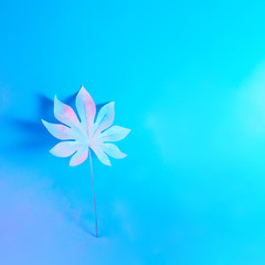 Tropical palm leaf in vibrant bold gradient holographic neon  colors. Concept art. Minimal surrealism summer background.