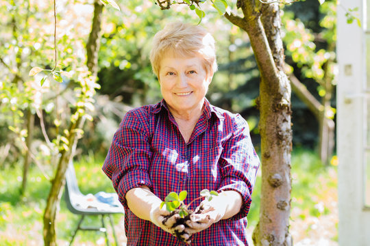 Portrait Of Happy Senior Blond Woman Planting New Flowers In Her Garden.