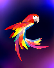 Stylized illustration of a parrot with a multicolored tail  on blurred background. . Vector element for logos, posters, postcards and your design