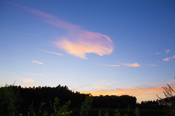 夕焼け空