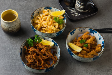 various japanese deep fried foods