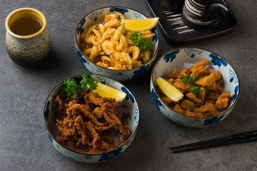 various japanese deep fried foods